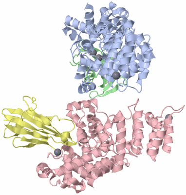 Image Biological Unit 1