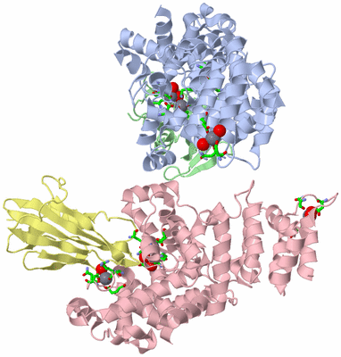 Image Biol. Unit 1 - sites