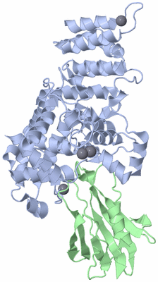 Image Biological Unit 2