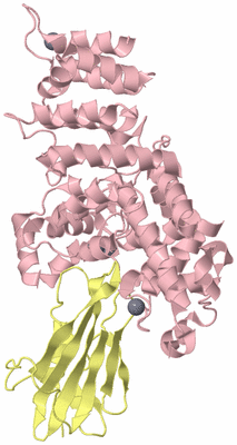 Image Biological Unit 3