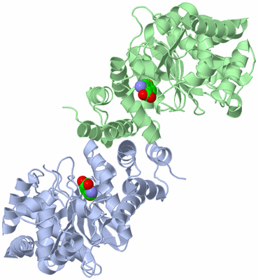 Image Asym./Biol. Unit