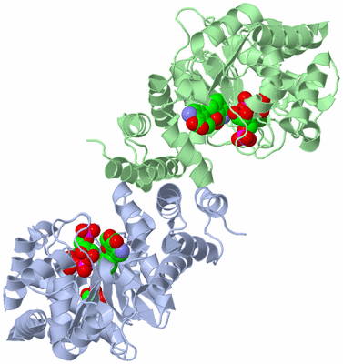 Image Asym./Biol. Unit