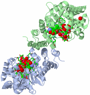 Image Asym./Biol. Unit - sites