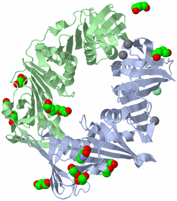 Image Asym./Biol. Unit