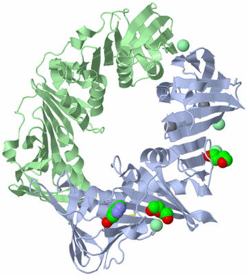 Image Asym./Biol. Unit