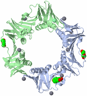 Image Asym./Biol. Unit