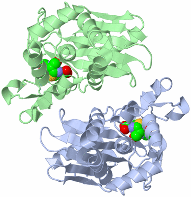 Image Asym./Biol. Unit