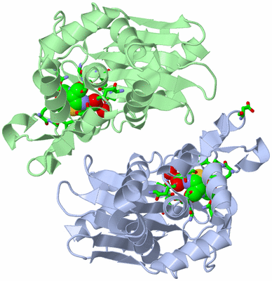 Image Asym./Biol. Unit - sites