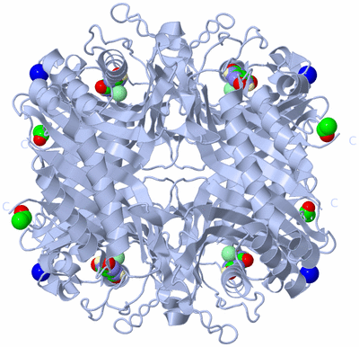 Image Biological Unit 1