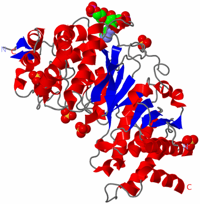 Image Asym./Biol. Unit