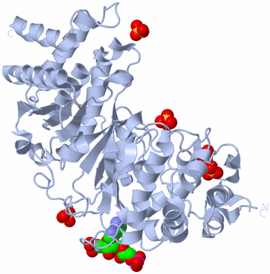 Image Biological Unit 1