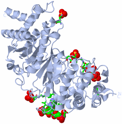 Image Biol. Unit 1 - sites