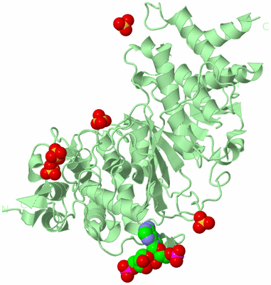 Image Biological Unit 2