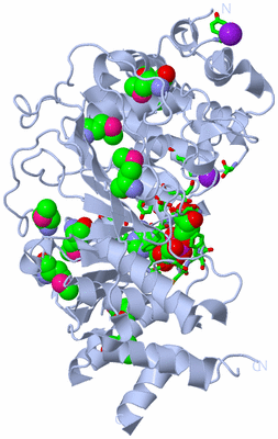 Image Biol. Unit 1 - sites