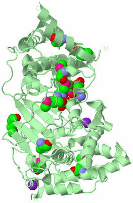 Image Biological Unit 2