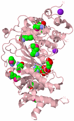 Image Biological Unit 3