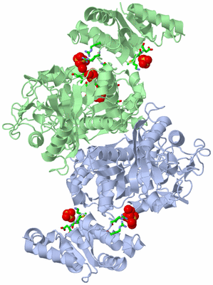 Image Asym./Biol. Unit - sites