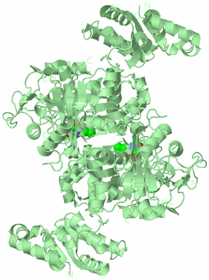 Image Biological Unit 2