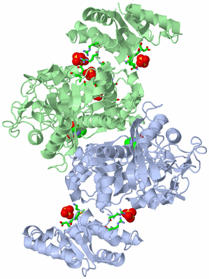 Image Asym./Biol. Unit - sites