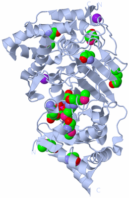 Image Biological Unit 1