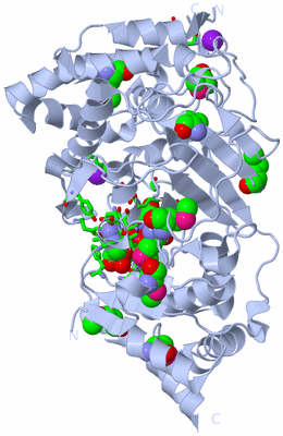 Image Biol. Unit 1 - sites