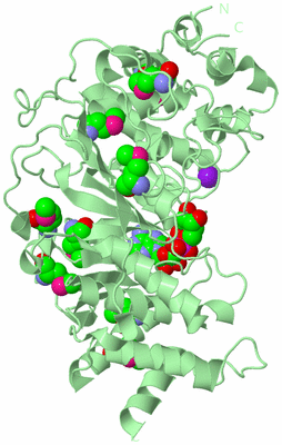 Image Biological Unit 2