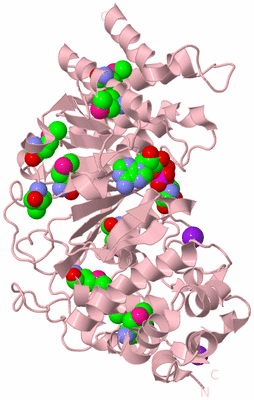 Image Biological Unit 3