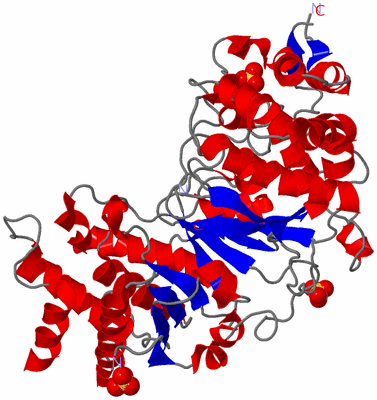 Image Asym./Biol. Unit