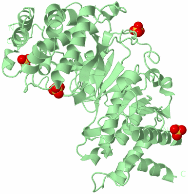 Image Biological Unit 2