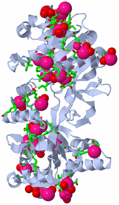 Image Biol. Unit 1 - sites