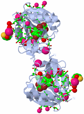 Image Biol. Unit 1 - sites