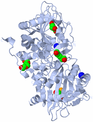 Image Biological Unit 1