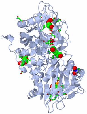 Image Biol. Unit 1 - sites