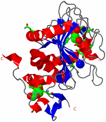 Image Asym. Unit - sites