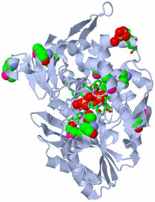 Image Biol. Unit 1 - sites