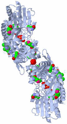 Image Biological Unit 2