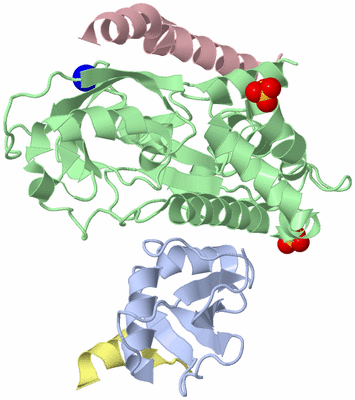 Image Biological Unit 1