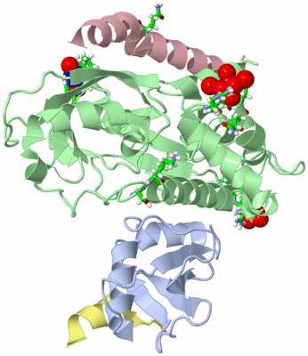 Image Biol. Unit 1 - sites