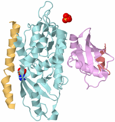 Image Biological Unit 2