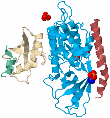 Image Biological Unit 3