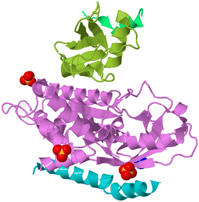 Image Biological Unit 4