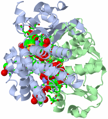 Image Asym./Biol. Unit - sites