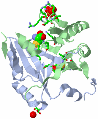 Image Asym./Biol. Unit - sites