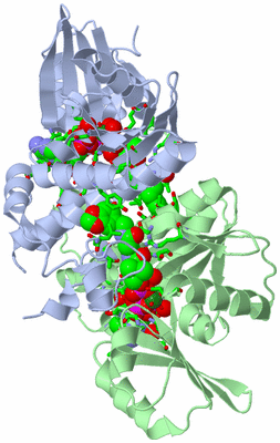 Image Biol. Unit 1 - sites