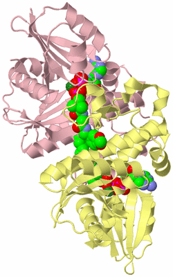 Image Biological Unit 2