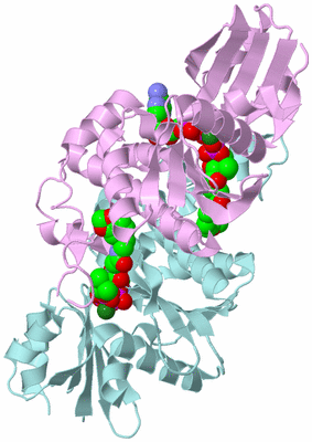 Image Biological Unit 3