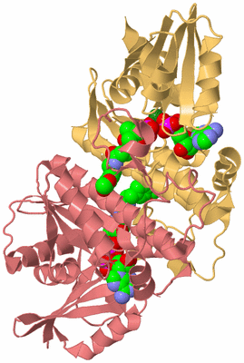 Image Biological Unit 4