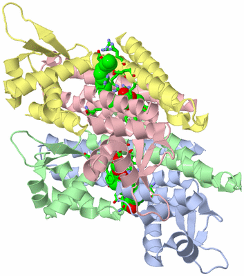 Image Asym./Biol. Unit - sites