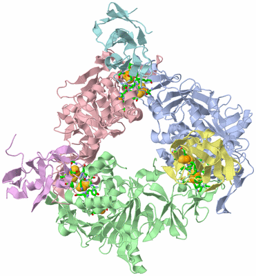 Image Asym./Biol. Unit - sites