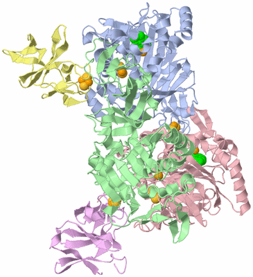 Image Asym./Biol. Unit